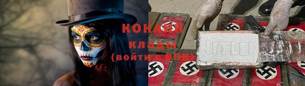 дурь Ельня
