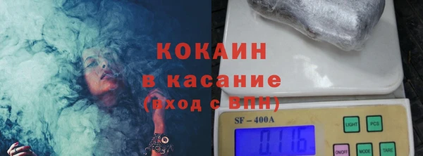 дурь Ельня