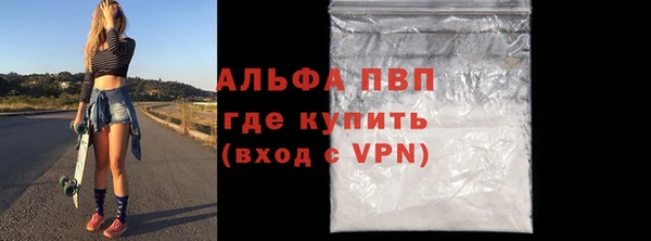 стафф Елизово