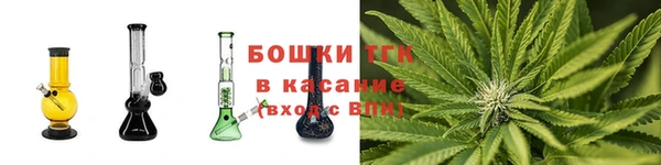 дурь Ельня