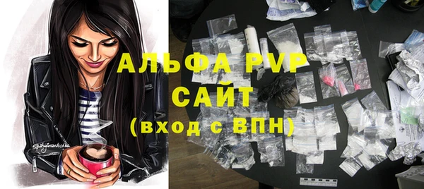 стафф Елизово