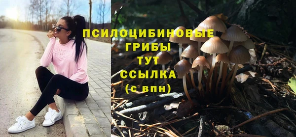стафф Елизово