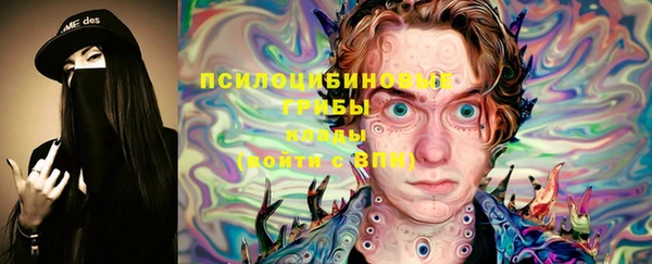 дурь Ельня