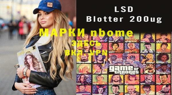 стафф Елизово