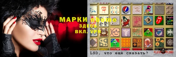 дурь Ельня