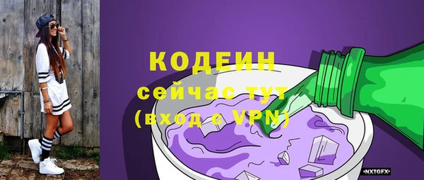 дурь Ельня